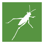 Grasshopper icon