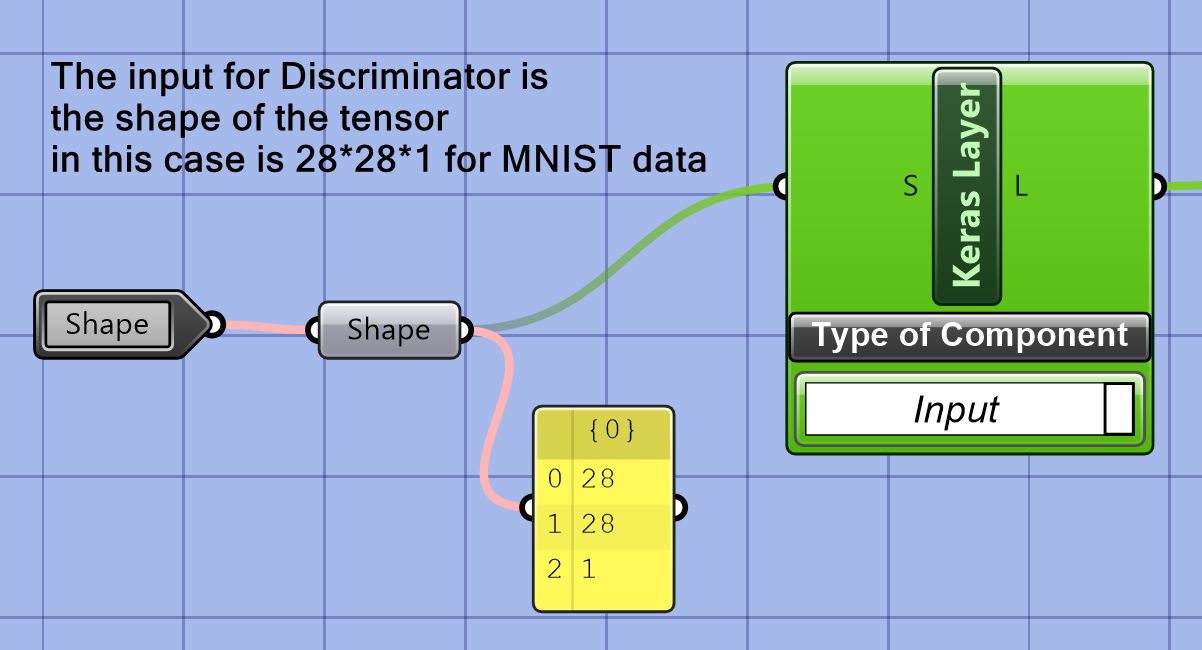 Input of discriminator