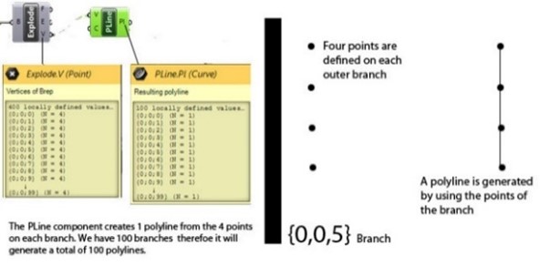 Understanding branches