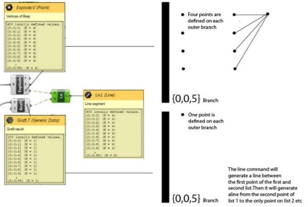 Understanding branches