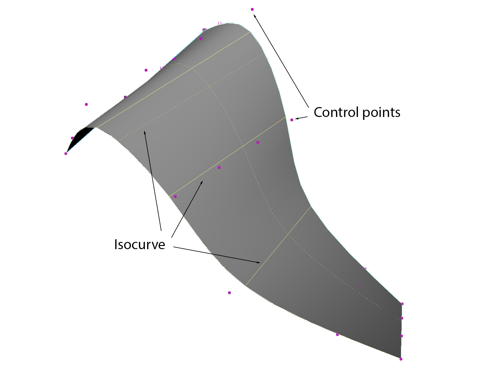 Isographs