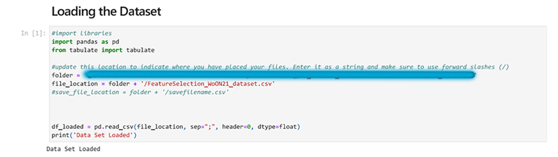 A view of the Jupyter Notebook showing the code that loads the data set.