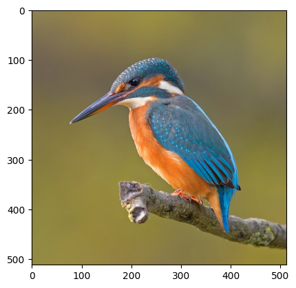 plotted RGB image at 512x512