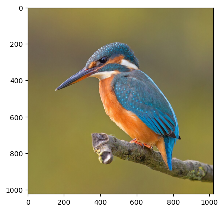 Corrected RGB image