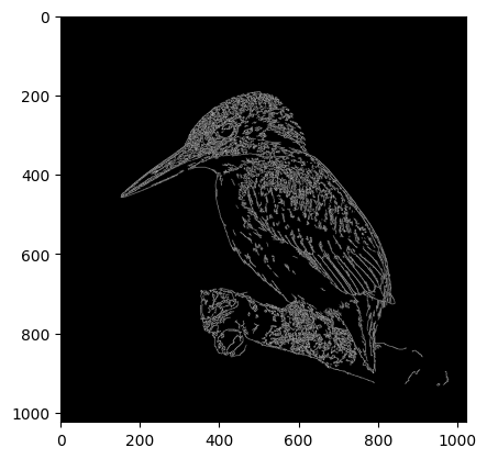 results of the canny edge detection operator