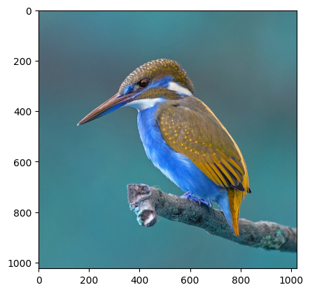 Matplotlib displays images using the color channel order Blue, Green, Red by default