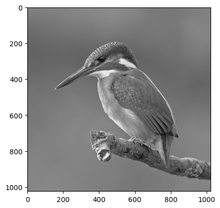 Image converted to Grayscale with OpenCV