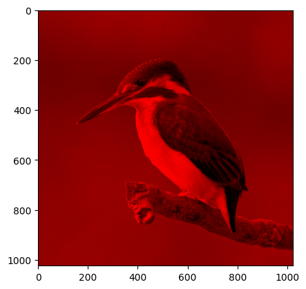 Plotted image with only the red channel visible